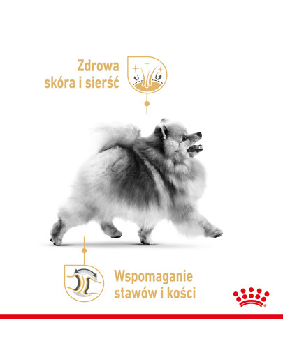 ROYAL CANIN Pomeranian Adult 85g mitrā barība, pastēte pieaugušiem punduršpiciem