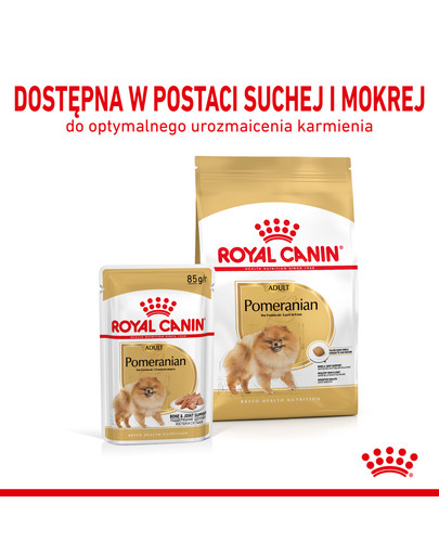 ROYAL CANIN Pomeranian Adult 85g mitrā barība, pastēte pieaugušiem punduršpiciem