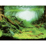 AQUA NOVA Divpusējs akvārija fons L 150x60cm augi / okeāns