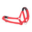 AMIPLAY Postroj pro psy nylonový pro Halter n5 rotweiller 2 cm červený