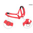 AMIPLAY Postroj pro psy nylonový pro Halter n5 rotweiller 2 cm červený