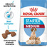 ROYAL CANIN Medium Starter Mother & Baby Dog 15 kg sausā barība mātītēm un kucēm grūtniecēm un kucēniem laktācijas periodā, no 4 līdz 8 nedēļām, vidējām šķirnēm