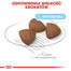 ROYAL CANIN Medium Starter Mother & Baby Dog 15 kg sausā barība mātītēm un kucēm grūtniecēm un kucēniem laktācijas periodā, no 4 līdz 8 nedēļām, vidējām šķirnēm