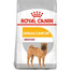 ROYAL CANIN Medium Dermacomfort 12 kg sausā barība pieaugušiem vidēja lieluma suņiem ar jutīgu ādu