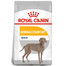 ROYAL CANIN Maxi Dermacomfort 12 kg sausā barība pieaugušiem lielo šķirņu suņiem ar jutīgu un uz kairinājumu tendētu ādu.
