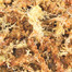 Trixie Sphagnum-Moss samanų pagrindas 100 g