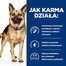 HILL'S Prescription Diet Canine GI Biome 10 kg barība suņiem ar gremošanas slimībām