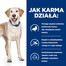 HILL'S Prescription Diet Canine d/d Food Sensitivities Pīle un rīsi Diētiskā sausā kompleksā barība suņiem ar noslieci uz alerģijām vai nepanesamību 4kg