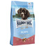 HAPPY DOG Sensible Puppy Lachs 20 kg (2 x 10 kg) kucēniem ar lasi un kartupeļiem
