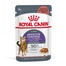 ROYAL CANIN Appetite Control Gravy 44x85 g mitrā barība pieaugušiem kaķiem ar pārmērīgu apetīti