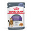 ROYAL CANIN Appetite Control Jelly 24x85 g mitrā barība pieaugušiem kaķiem svara pieauguma kontrolei