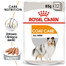 ROYAL CANIN Coat Care mitrā barība - pastēte pieaugušiem suņiem ar blāvu kažoku 24 x 85 g