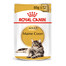 ROYAL CANIN Meinas Coon kaķu šķirnes barība paciņās 48x85 g