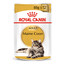 ROYAL CANIN Mainecoon paciņa 24x85 g