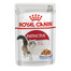 ROYAL CANIN Instinctive 24x85 g mērcē mitrā barība pieaugušiem, izvēlīgiem kaķiem