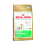 ROYAL CANIN Golden retriever junior 1 kg