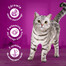 WHISKAS Adult 300g sausā barība pieaugušiem kaķiem ar gardu liellopu gaļu