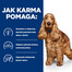 HILL'S Prescription Diet Canine z/d 370 g pārtikas produktu nepanesamība