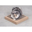 CARTON+ PETS Kartona kaķu skrāpis Tom
