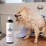 PETS Šampūns Vitamīnu šampūns īsiem matiem 250 ml