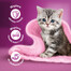 WHISKAS Junior paciņa 48x85g Drobiowe Frykasy kaķu barība želejā ar: vistas gaļu, tītara gaļu, mājputnu gaļu, pīles gaļu