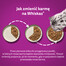 WHISKAS Junior paciņa 48x85g Drobiowe Frykasy kaķu barība želejā ar: vistas gaļu, tītara gaļu, mājputnu gaļu, pīles gaļu