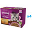 WHISKAS Junior paciņa 48x85g Drobiowe Frykasy kaķu barība želejā ar: vistas gaļu, tītara gaļu, mājputnu gaļu, pīles gaļu