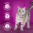WHISKAS Adult paciņa 52x85 g Mājputnu barība pieaugušiem kaķiem mērcē ar: vistas gaļu, tītara gaļu, tītara gaļu.