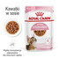 ROYAL CANIN Kitten mitrā barība mērcē kaķēniem līdz 12 mēnešiem, sterilizētiem 48 x 85 g