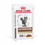 ROYAL CANIN Veterinary Gastrointestinal Fibre Response 48x85g barība kaķiem ar aizcietējumiem un aizcietējumiem