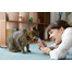 INABA Churu Cat krēmveida kārums ar vistu un garnelēm 56 g