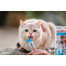 INABA Churu Cat krēmveida tuncis un ķemmīšgliemenes 56g