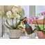 GARDENA Smidzinātājs 0,75 l