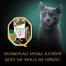 SHEBA Nature's Collection 85 g mērcē ar lasi un zirņiem