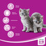 WHISKAS Suché krmivo junior kuřecí 300 g