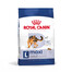 ROYAL CANIN Maxi Adult 30 kg (2x15kg) sausā barība pieaugušiem suņiem, līdz 5 gadu vecumam, lielām šķirnēm