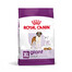 ROYAL CANIN Giant Adult 15kg sausā barība pieaugušiem suņiem, no 18/24 mēnešiem, milzu šķirnēm