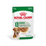 ROYAL CANIN Mini ageing 12+ 12x85 g mitrā barība mērcē pieaugušiem suņiem, vecākiem par 12 gadiem, mazām šķirnēm