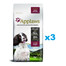 APPLAWS Adult Dog Small Medium Chicken with Lamb 6 kg (3x2 kg) Vistas gaļa ar jēru pieaugušiem mazu un vidēju šķirņu suņiem