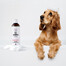 PETS Šampūns Kumelīšu šampūns jutīgai ādai 250 ml