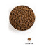 Acana Adult Small Breed 6 kg