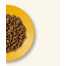 APPLAWS Cat Kitten Kitten Chicken 2 kg bez graudaugu vistas gaļas barība kaķēniem