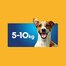 PEDIGREE DentaStix Daily Fresh ar vistas garšu našķi mazo šķirņu suņiem 4x110g