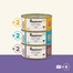 APPLAWS Applaws Cat Tin Multipack Kitten Selection 6 x 70 g jaukta garša mitrā kaķu barība ar zivīm un vistu