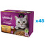 WHISKAS Pieaugušo kaķu barība 48x85g Poultry Fricasse ar vistas, tītara, mājputnu, pīles un tītara gaļu želejā.