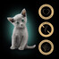 SHEBA Kitten Kitten Choice of flavours in sauce 4x85g mitrā barība ar lasi un vistu kaķēniem