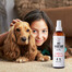 PETS Magic Care migla apmatojuma 250 ml