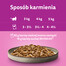 WHISKAS Pure Delight Drobiowe frykasy z kurczakiem, indykiem, drobiem, kaczką w galaretce 12x85g