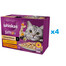 WHISKAS Adult saszetka 48x85g Kremowe Wariacje mokra karma dla dorosłych kotów w sosie z: kurczakiem i warzywami, jagnięciną i indykiem