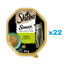 SHEBA Sauce Collection tacka 22x85 g mokra karma pełnoporcjowa dla dorosłych kotów kawałki z królikiem i warzywami w sosie